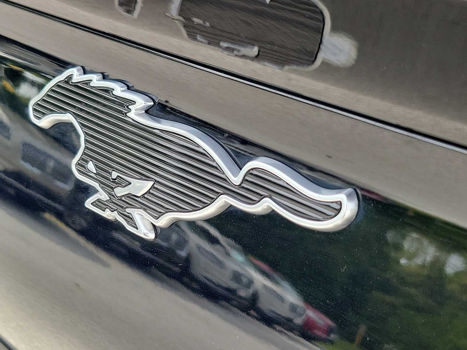 2023 Ford Mustang Mach-E California Route 1