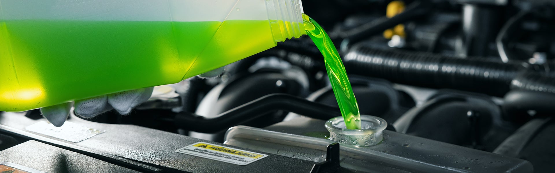 $10 OFF ALL FLUID EXCHANGES AND FLUSHES